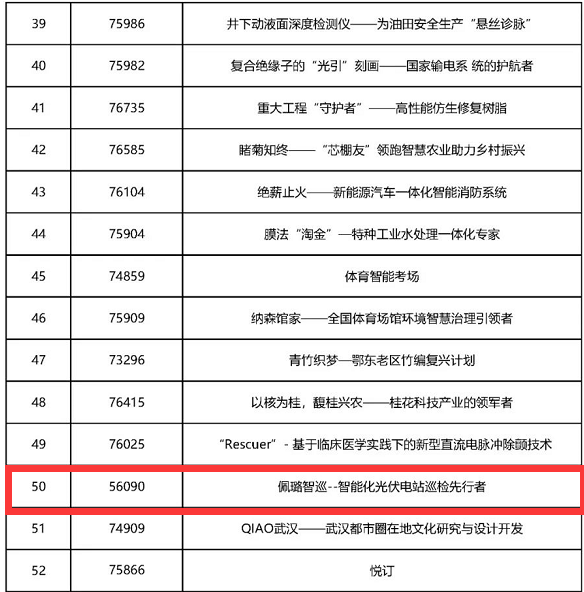 典型项目(部分)(图11) 典型项目(部分)(图11)